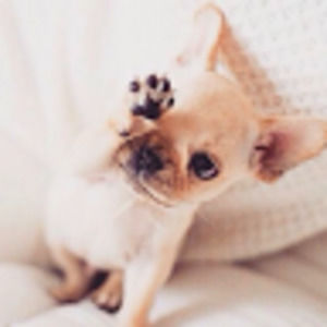 Meet your Posher, Hope